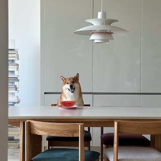 https://prs.ohou.se/apne2/home/profileImageUrl/v1-250910754984064.jpg?gif=1&w=320