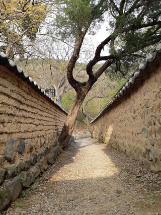대전댁도터님의 공간에 오신 것을 환영합니다.