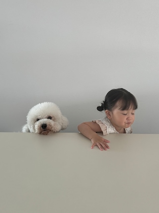 https://prs.ohou.se/apne2/home/profileImageUrl/v1-266713148342272.jpg?gif=1&w=320