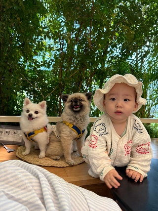 또다봄이네님의 공간에 오신 것을 환영합니다.